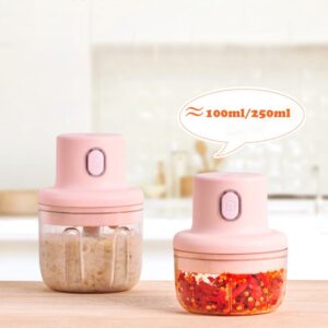 Wireless Electric Mini food & Vegetable Chopper 2 In 1