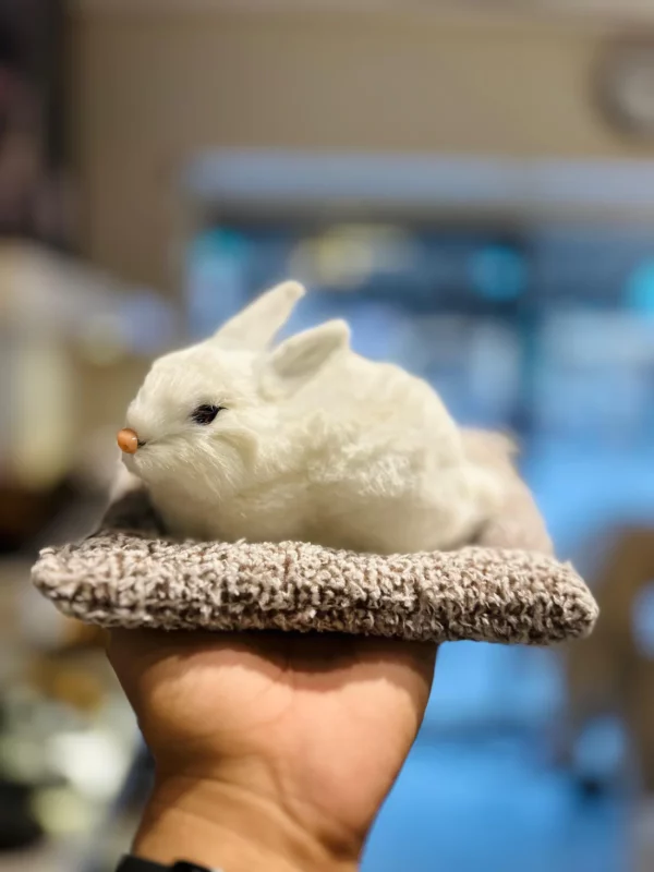 Adorable Plush Rabbet Dashboard Ornaments