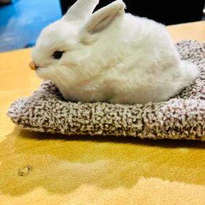 Adorable Plush Rabbet Dashboard Ornaments