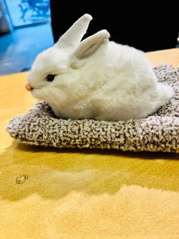 Adorable Plush Rabbet Dashboard Ornaments