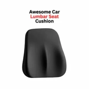 Awesome Car Lumbar Seat Cushion