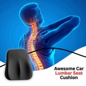 Awesome Car Lumbar Seat Cushion