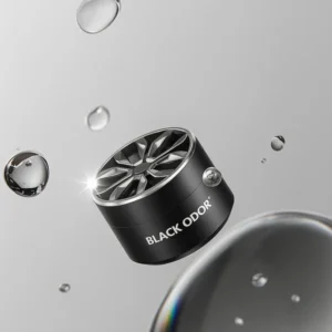 Black Odor Fashion Car Fragrance