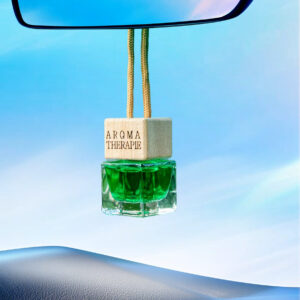 Car Hanging Perfume Aroma Therapie 10ml Liquid Air Freshener